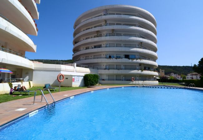 Studio in Estartit - MEDES PARK I 2-1 Studio in Estartit - MEDES PARK I 2-1
