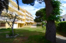 Ferienwohnung in L'Escala - APPARTAMENT RIELLS DE MAR A6 1D