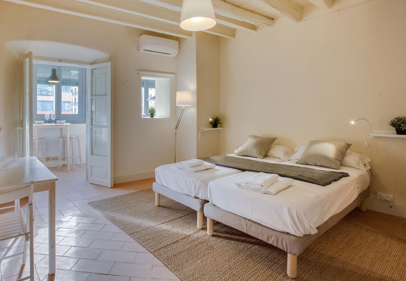 Ferienwohnung in Girona - Ballesteries 39 41 Ferienwohnung in Girona - Ballesteries 39 41