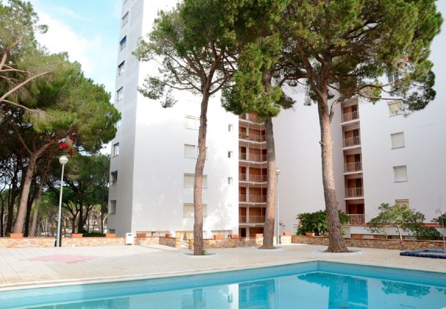 Ferienwohnung in Pals - BOSMAR BOSC 5-A Ferienwohnung in Pals - BOSMAR BOSC 5-A