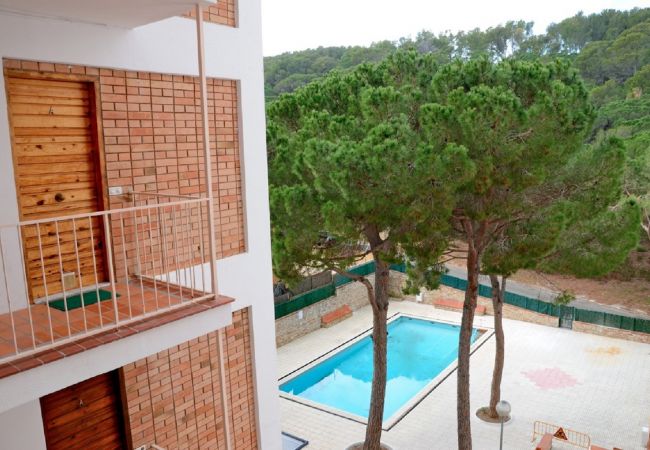 Ferienwohnung in Pals - BOSMAR BOSC 5-A Ferienwohnung in Pals - BOSMAR BOSC 5-A