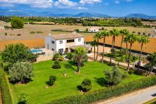 Finca in Muro - Son Sastre 024 luxuriöse Villa mit großem Pool, Klimaanlage, Garten und Terrasse