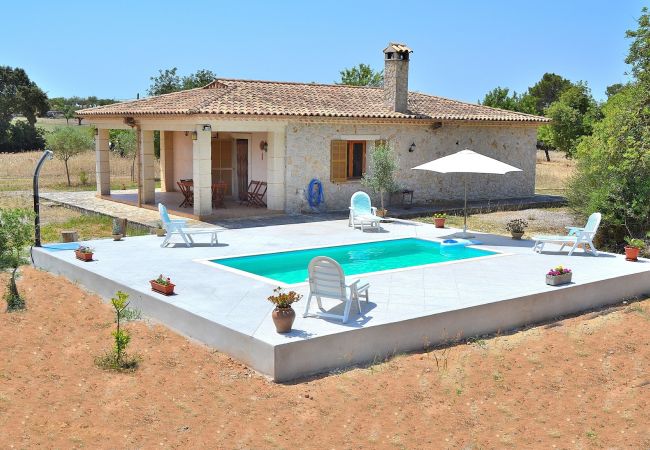 Ab 100€ pro Tag  können Sie Ihre Villa auf Mallorca mieten