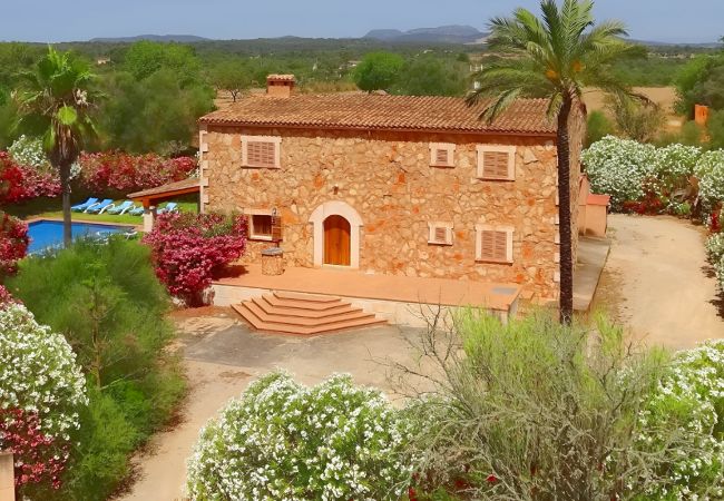 Landhaus zur Miete auf Mallorca.  Son Mas 402