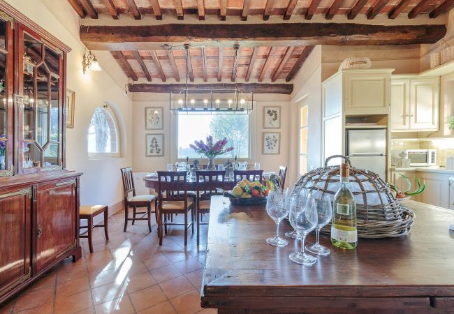 Villa in Maggiano - Villa Medea Villa in Maggiano - Villa Medea