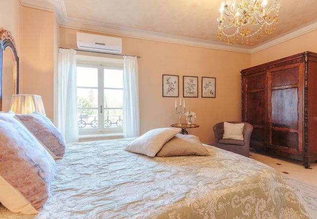 Villa in Maggiano - Villa Medea Villa in Maggiano - Villa Medea
