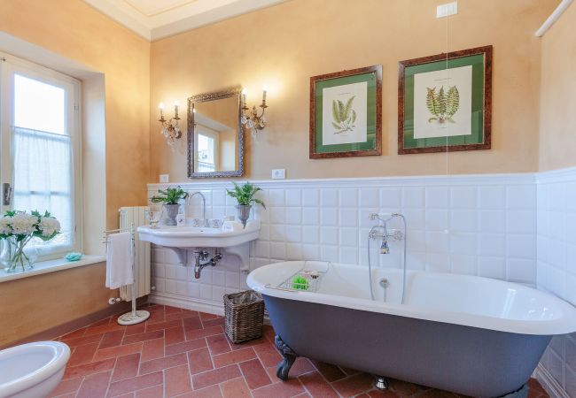 Villa in Maggiano - Villa Medea Villa in Maggiano - Villa Medea