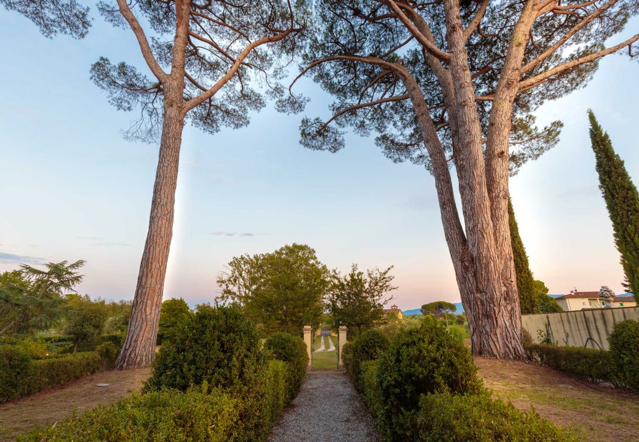 Villa in Lucca - RENAISSANCE WINERY VILLA AMONG THE VINEYARDS, 9 BEDROOMS, 7 BATHS, WIFI, AIR CON Villa in Lucca - RENAISSANCE WINERY VILLA AMONG THE VINEYARDS, 9 BEDROOMS, 7 BATHS, WIFI, AIR CON