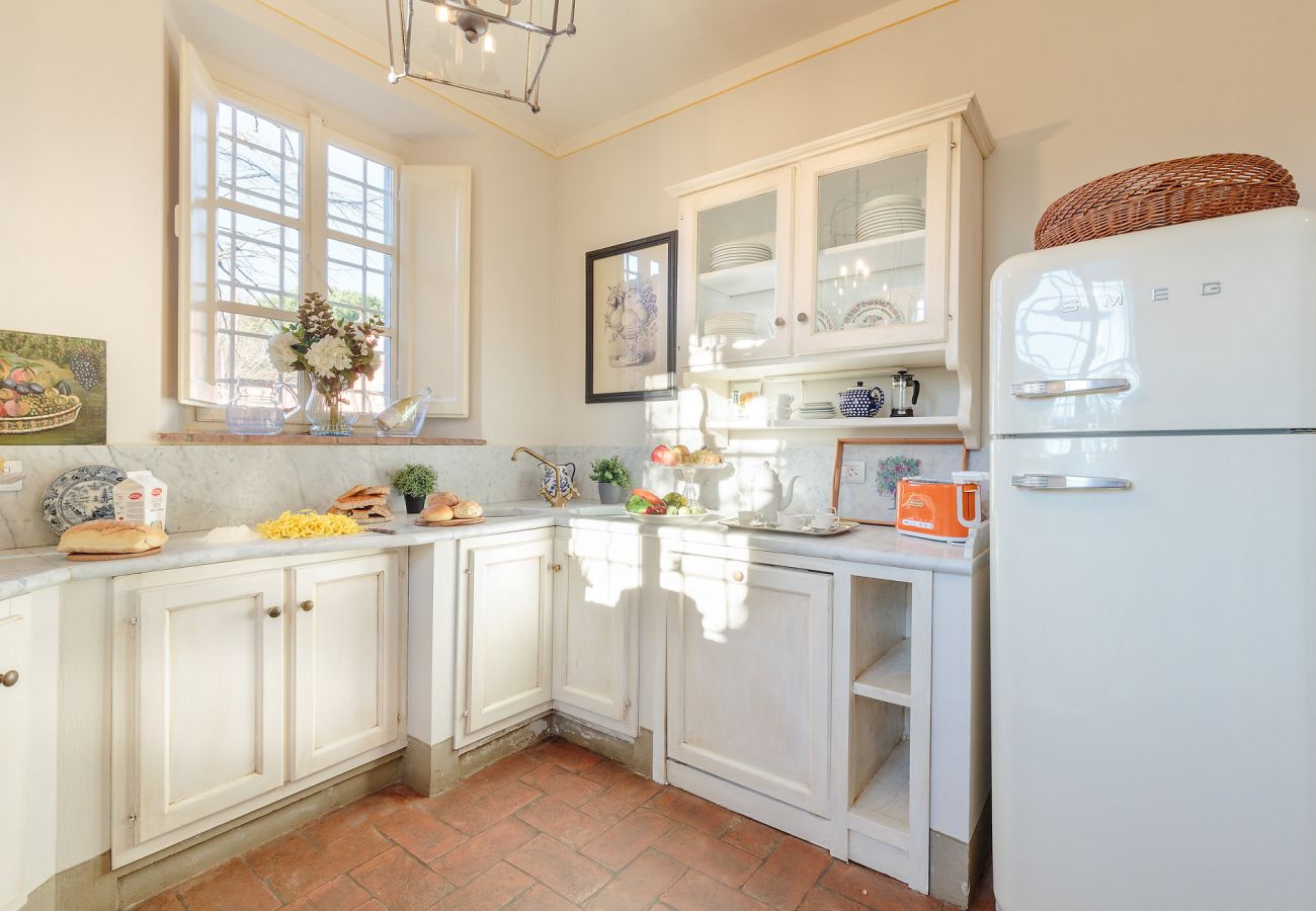 Villa in Lucca - RENAISSANCE WINERY VILLA AMONG THE VINEYARDS, 9 BEDROOMS, 7 BATHS, WIFI, AIR CON Villa in Lucca - RENAISSANCE WINERY VILLA AMONG THE VINEYARDS, 9 BEDROOMS, 7 BATHS, WIFI, AIR CON