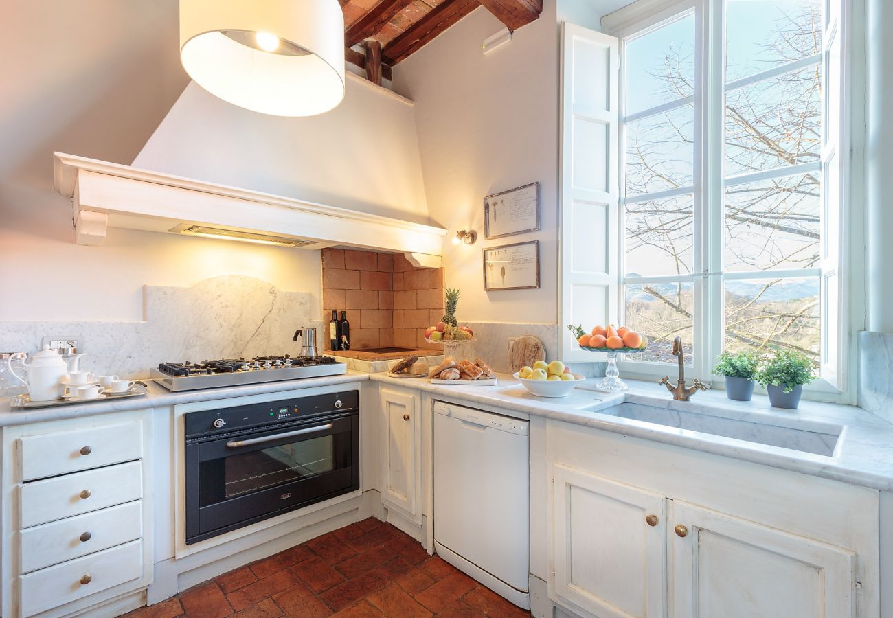 Villa in Lucca - RENAISSANCE WINERY VILLA AMONG THE VINEYARDS, 9 BEDROOMS, 7 BATHS, WIFI, AIR CON Villa in Lucca - RENAISSANCE WINERY VILLA AMONG THE VINEYARDS, 9 BEDROOMS, 7 BATHS, WIFI, AIR CON