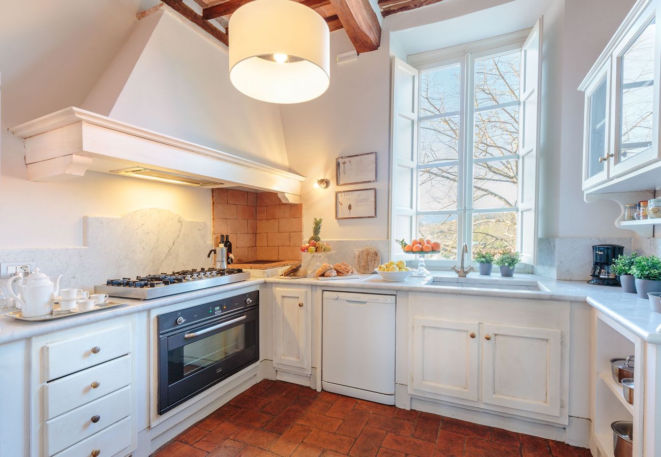 Villa in Lucca - RENAISSANCE WINERY VILLA AMONG THE VINEYARDS, 9 BEDROOMS, 7 BATHS, WIFI, AIR CON Villa in Lucca - RENAISSANCE WINERY VILLA AMONG THE VINEYARDS, 9 BEDROOMS, 7 BATHS, WIFI, AIR CON