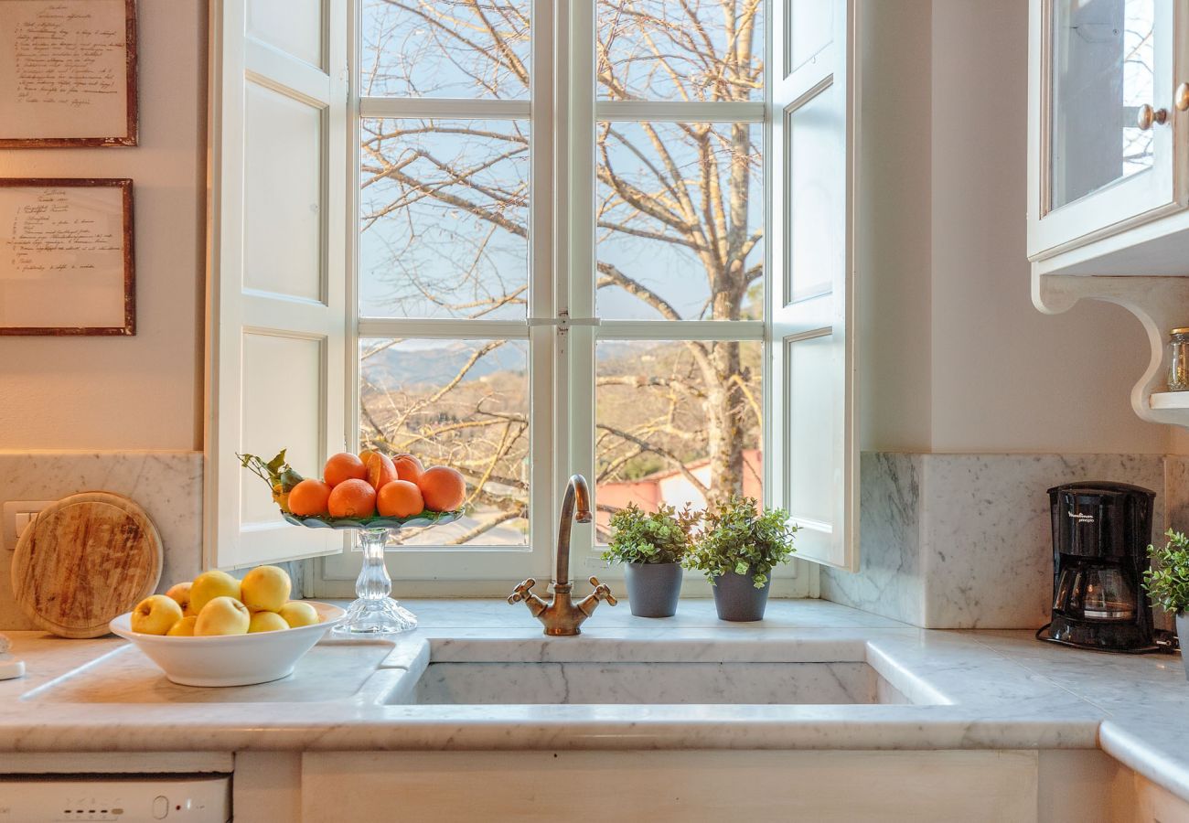 Villa in Lucca - RENAISSANCE WINERY VILLA AMONG THE VINEYARDS, 9 BEDROOMS, 7 BATHS, WIFI, AIR CON Villa in Lucca - RENAISSANCE WINERY VILLA AMONG THE VINEYARDS, 9 BEDROOMS, 7 BATHS, WIFI, AIR CON