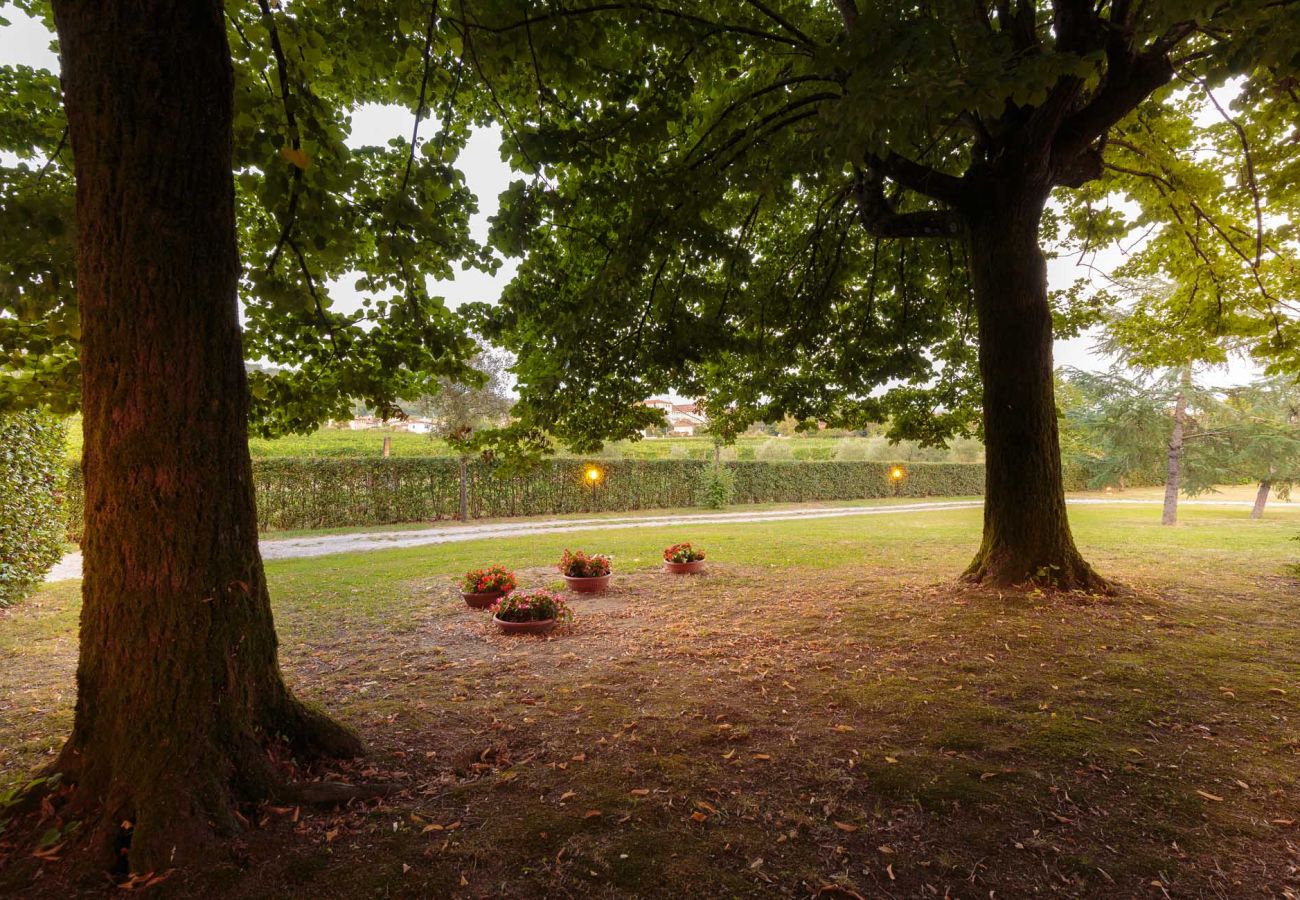 Villa in Lucca - RENAISSANCE WINERY VILLA AMONG THE VINEYARDS, 9 BEDROOMS, 7 BATHS, WIFI, AIR CON Villa in Lucca - RENAISSANCE WINERY VILLA AMONG THE VINEYARDS, 9 BEDROOMS, 7 BATHS, WIFI, AIR CON