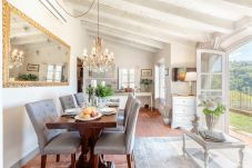 Villa in Lucca - LA MACINA FARMHOUSE AND OLIVE OIL ESTATE