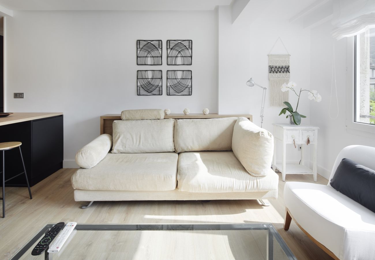 Ferienwohnung in San Sebastián - Fotos ORERETA Ferienwohnung in San Sebastián - Fotos ORERETA