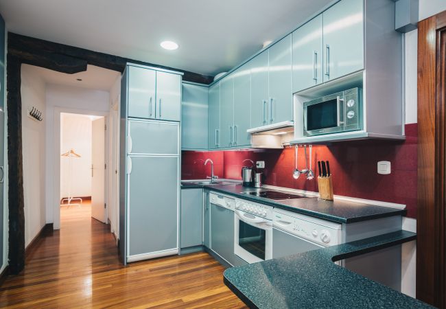 Ferienwohnung in Bilbao - MADARI Ferienwohnung in Bilbao - MADARI