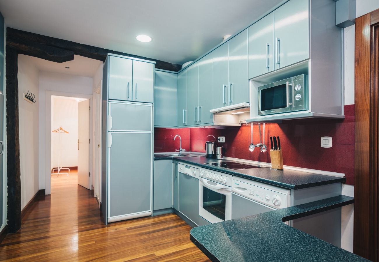 Ferienwohnung in Bilbao - MADARI Ferienwohnung in Bilbao - MADARI