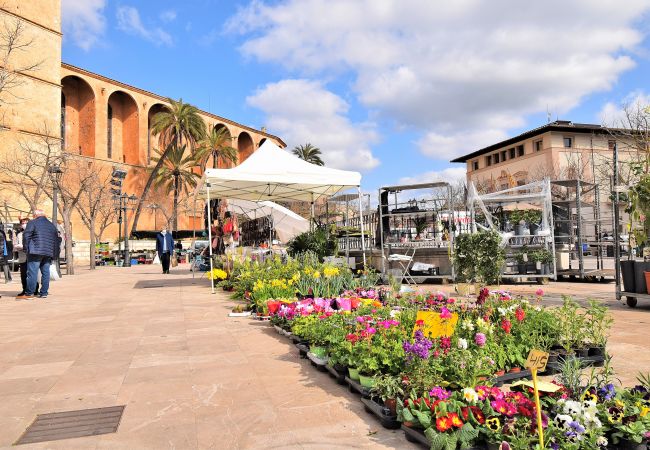 Ferienhaus in Muro - Ca Ses Nines 003 fantastisches Dorfhaus mit Terrasse, BBQ, Klimaanlage und W-Lan Ferienhaus in Muro - Ca Ses Nines 003 fantastisches Dorfhaus mit Terrasse, BBQ, Klimaanlage und W-Lan