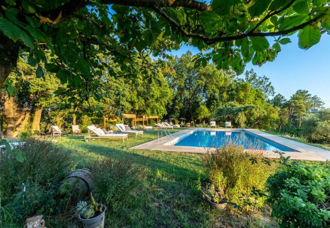 Villa in Capannori - Villa Lorena, a Family Vintage Home with Indoor Pool, Air Conditioning, Outdoor Pool, Fitness Room & Wifi Villa in Capannori - Villa Lorena, a Family Vintage Home with Indoor Pool, Air Conditioning, Outdoor Pool, Fitness Room & Wifi
