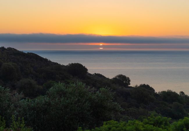 Villa in Ottiolu - VILLA LA BELLA, Luxury Seafront Villa with Panoramic Terrace in Porto Ottiolu, Sardinia Villa in Ottiolu - VILLA LA BELLA, Luxury Seafront Villa with Panoramic Terrace in Porto Ottiolu, Sardinia