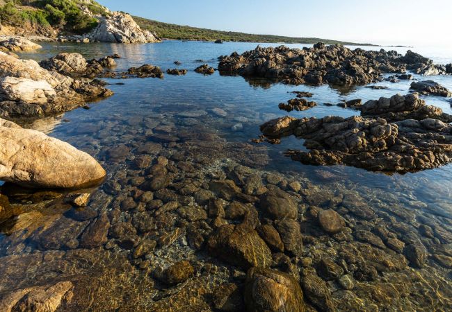 Villa in Ottiolu - VILLA LA BELLA, Luxury Seafront Villa with Panoramic Terrace in Porto Ottiolu, Sardinia Villa in Ottiolu - VILLA LA BELLA, Luxury Seafront Villa with Panoramic Terrace in Porto Ottiolu, Sardinia