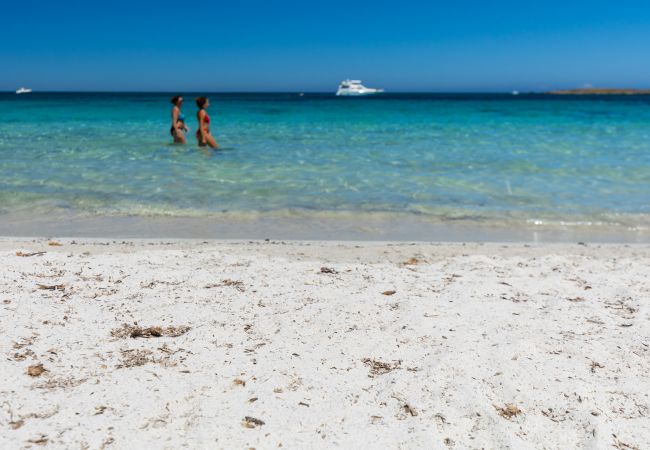 Villa in Ottiolu - VILLA LA BELLA, Luxury Seafront Villa with Panoramic Terrace in Porto Ottiolu, Sardinia Villa in Ottiolu - VILLA LA BELLA, Luxury Seafront Villa with Panoramic Terrace in Porto Ottiolu, Sardinia