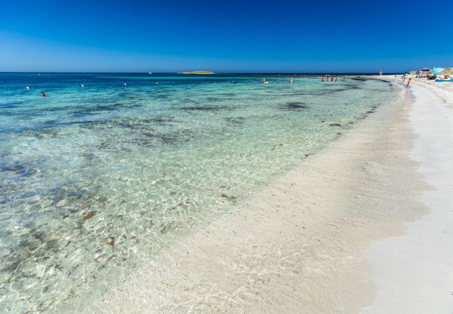 Villa in Ottiolu - VILLA LA BELLA, Luxury Seafront Villa with Panoramic Terrace in Porto Ottiolu, Sardinia Villa in Ottiolu - VILLA LA BELLA, Luxury Seafront Villa with Panoramic Terrace in Porto Ottiolu, Sardinia