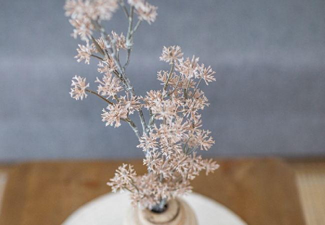 Ferienwohnung in Valencia - THE PORT SUITES APARTMENTS 5  Ferienwohnung in Valencia - THE PORT SUITES APARTMENTS 5