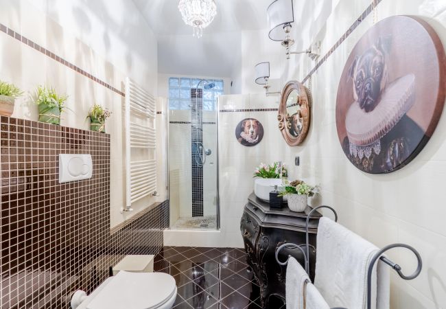 Ferienwohnung in Lucca - Luxury 3 bedrooms Apartment Amazing Views over the Amphiteatre Square inside the Walls of Lucca Ferienwohnung in Lucca - Luxury 3 bedrooms Apartment Amazing Views over the Amphiteatre Square inside the Walls of Lucca