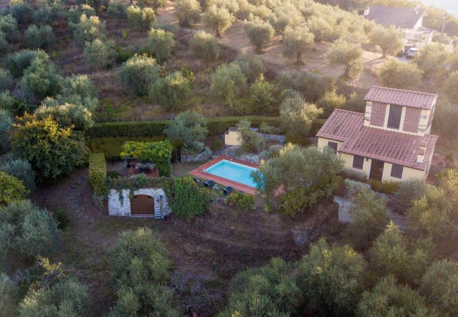 Villa in Lucca - Villa Debby, 2 bedrooms Farmhouse with Pool on the Hills of Lucca Villa in Lucca - Villa Debby, 2 bedrooms Farmhouse with Pool on the Hills of Lucca