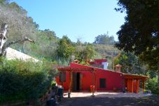 Landhaus in Valleseco - Sombra del Laurel