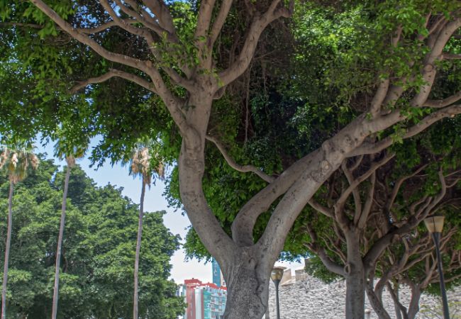 Ferienhaus in Las Palmas de Gran Canaria - Rejon Hideaway A By CanariasGetaway Ferienhaus in Las Palmas de Gran Canaria - Rejon Hideaway A By CanariasGetaway