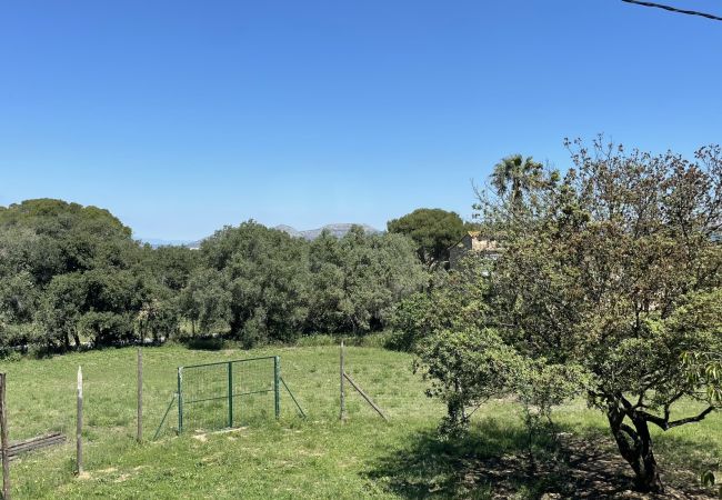 Ferienwohnung in Pals - MAS PIGEM B Ferienwohnung in Pals - MAS PIGEM B