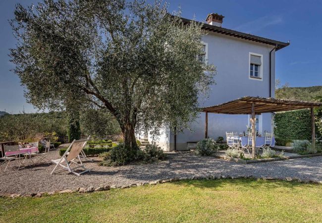 Villa in Lucca - Romantic Farmhouse with Oversize Panoramic Pool Villa in Lucca - Romantic Farmhouse with Oversize Panoramic Pool
