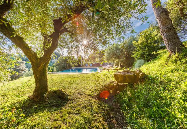 Villa in Lucca - Iconic Romantic Farmhouse with Pool in Lucca Villa in Lucca - Iconic Romantic Farmhouse with Pool in Lucca