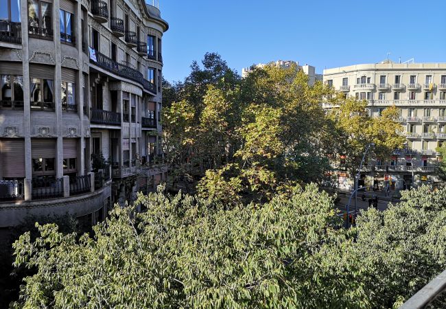 Appartement in Barcelona - CALABRIA, piso amplio ideal familias o grupos en Eixample, Barcelona centro Appartement in Barcelona - CALABRIA, piso amplio ideal familias o grupos en Eixample, Barcelona centro