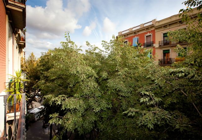 Appartement in Barcelona - SANT ANTONI, piso bonito, tranquilo y muy bien situado en Barcelona centro. Appartement in Barcelona - SANT ANTONI, piso bonito, tranquilo y muy bien situado en Barcelona centro.