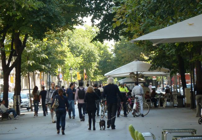 Appartement in Barcelona - SANT ANTONI, piso bonito, tranquilo y muy bien situado en Barcelona centro. Appartement in Barcelona - SANT ANTONI, piso bonito, tranquilo y muy bien situado en Barcelona centro.