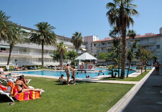 Appartement in Estartit - ILLA MAR D'OR 239 Appartement in Estartit - ILLA MAR D'OR 239