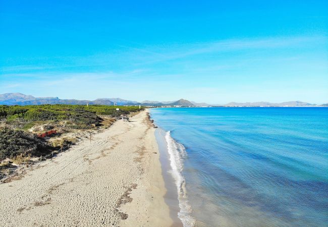 Appartement in Alcudia - Fantastic 174 magnífico apartamento en la playa, con balcón, aire acondicionado y WiFi Appartement in Alcudia - Fantastic 174 magnífico apartamento en la playa, con balcón, aire acondicionado y WiFi