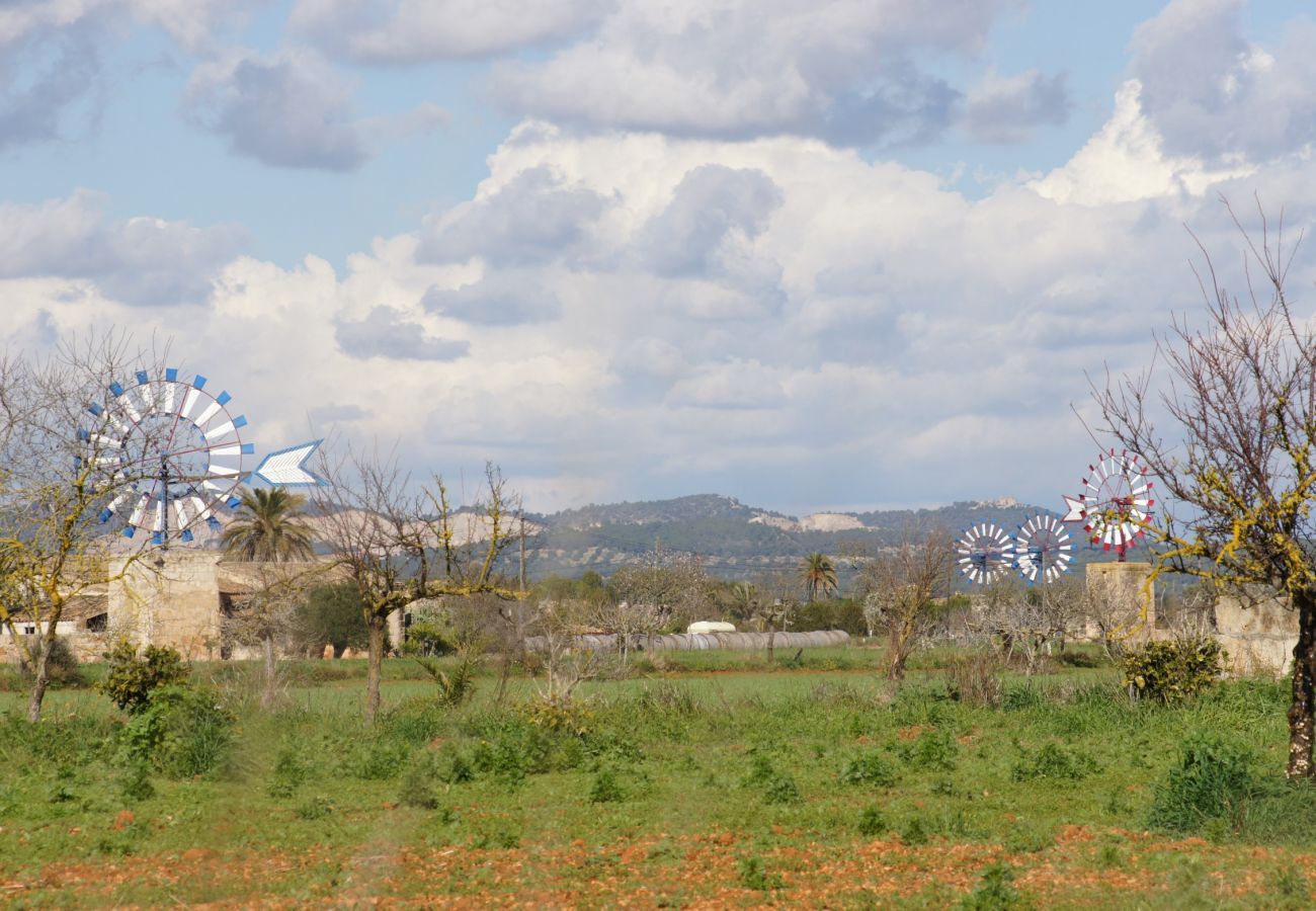 Finca in Campos - Sa Costa 411 finca rústica con piscina privada, terraza, jardín y aire acondicionado Finca in Campos - Sa Costa 411 finca rústica con piscina privada, terraza, jardín y aire acondicionado