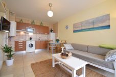 Appartement in Can Picafort - Ca n'Antonia 092 apartamento con piscina, balcón, aire acondicionado y WiFi