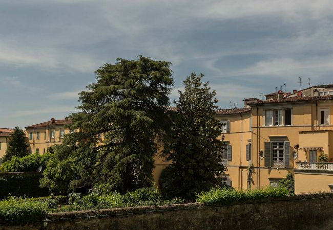 Appartement in Lucca -  CASA BEATRICE, Apartment with Private Garden inside the Walls of Lucca Appartement in Lucca -  CASA BEATRICE, Apartment with Private Garden inside the Walls of Lucca