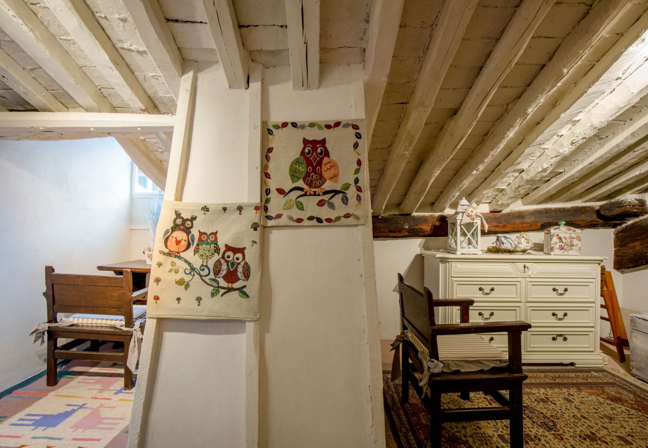 Appartement in Lucca - CASA UCCELLINI Apartment with a Romantic Terrace Appartement in Lucca - CASA UCCELLINI Apartment with a Romantic Terrace