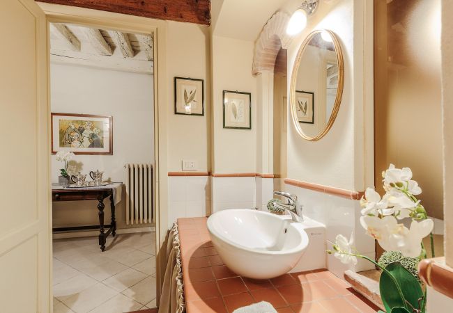 Appartement in Lucca - Stylish Smart Ground Floor Apartment inside Lucca Appartement in Lucca - Stylish Smart Ground Floor Apartment inside Lucca