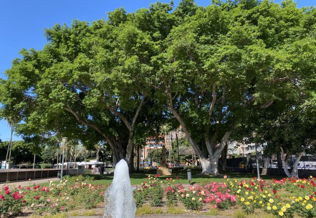 Studio in Las Palmas de Gran Canaria - Mainstream home with balcony By Canariasgetaway Studio in Las Palmas de Gran Canaria - Mainstream home with balcony By Canariasgetaway