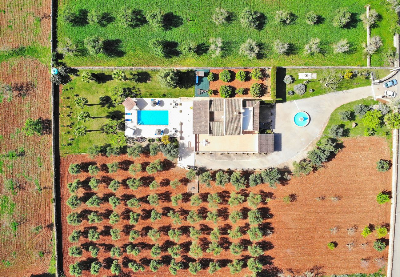 Finca in Ariany - Calderitx 253 fantástica finca con piscina privada, zona infantil, barbacoa y terraza Finca in Ariany - Calderitx 253 fantástica finca con piscina privada, zona infantil, barbacoa y terraza