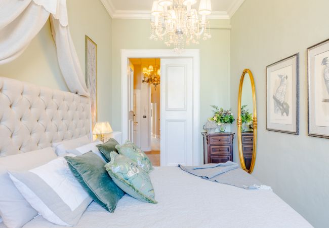 Appartement in Lucca - Luxury 3 bedrooms Apartment Amazing Views over the Amphiteatre Square inside the Walls of Lucca Appartement in Lucca - Luxury 3 bedrooms Apartment Amazing Views over the Amphiteatre Square inside the Walls of Lucca