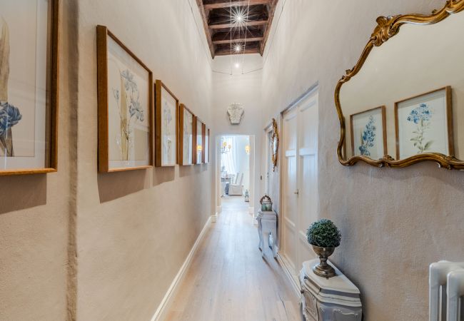 Appartement in Lucca - Luxury 3 bedrooms Apartment Amazing Views over the Amphiteatre Square inside the Walls of Lucca Appartement in Lucca - Luxury 3 bedrooms Apartment Amazing Views over the Amphiteatre Square inside the Walls of Lucca