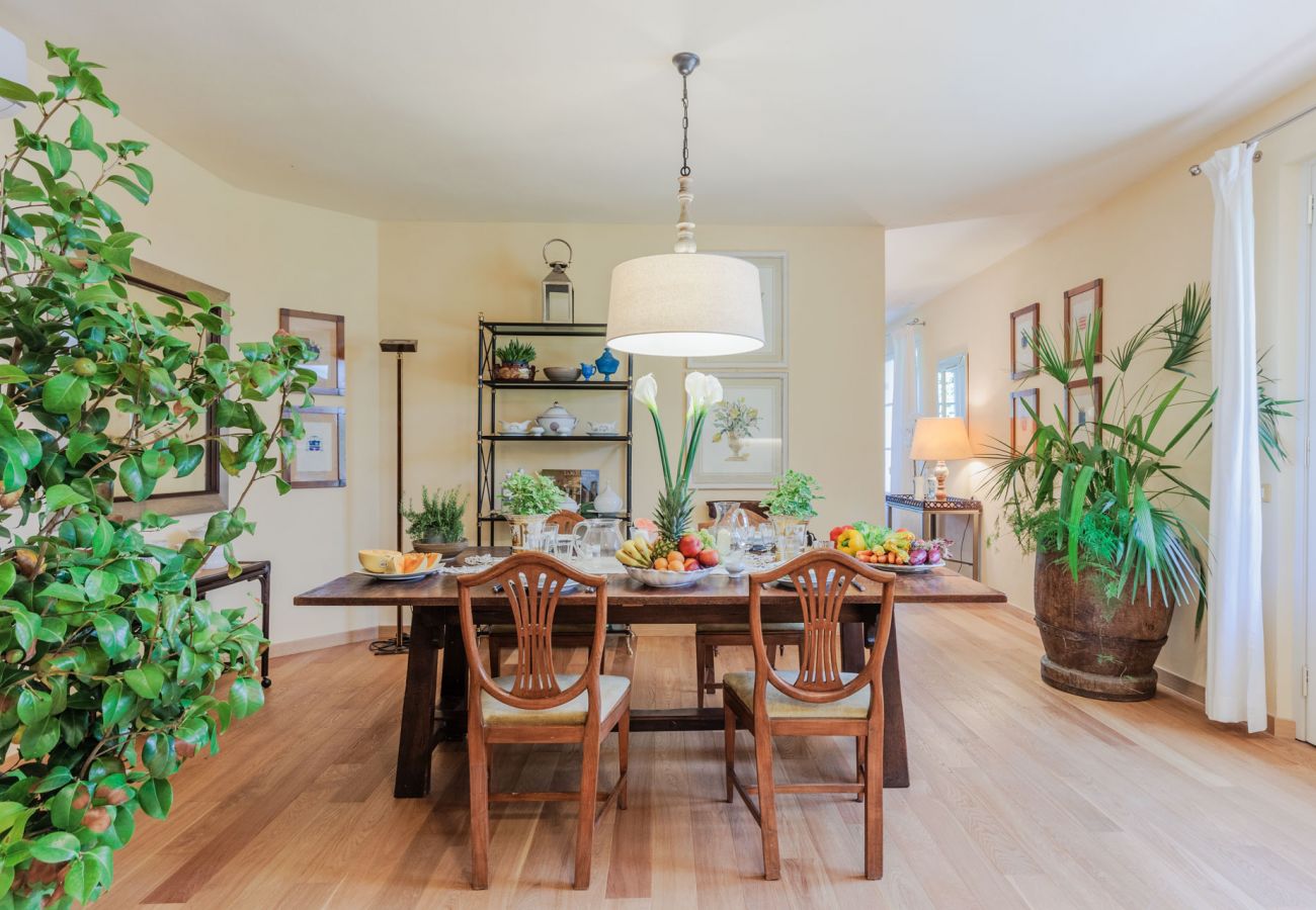 Villa in Lucca - Charming Cottage with Private Pool in Lucca Villa in Lucca - Charming Cottage with Private Pool in Lucca